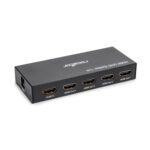 HDMI